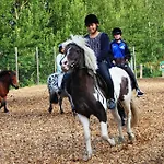 Am Edthof 4* Eben Im Pongau