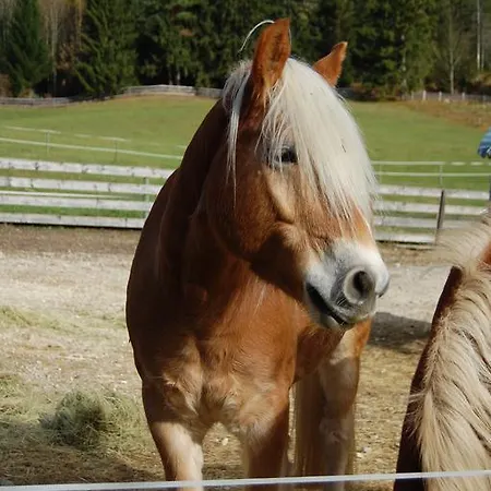 Aparthotel Am Edthof 4*